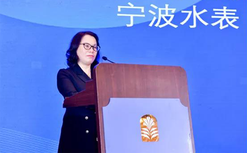 中國儀器儀表行業(yè)協(xié)會副理事長、寧波水表(集團(tuán))股份有限公司董事長 張琳