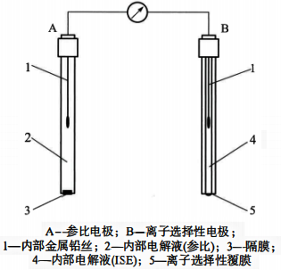 離子擇性電極法的測量原理 離子擇性電極法的測量原理